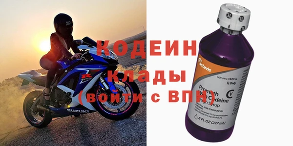 дурь Бородино