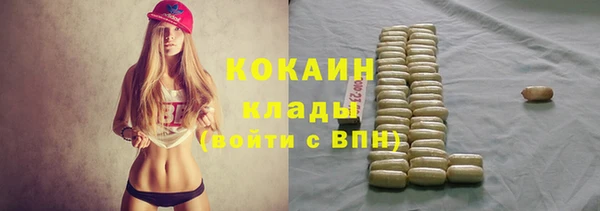 дурь Бородино