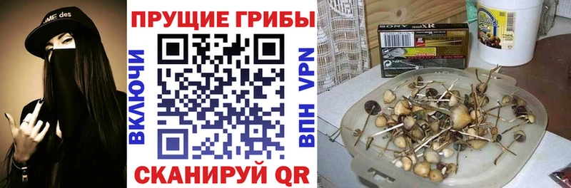 mega как зайти  Грязи  Галлюциногенные грибы Magic Shrooms  где купить  